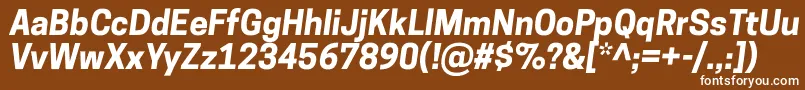 CooperhewittBolditalic Font – White Fonts on Brown Background