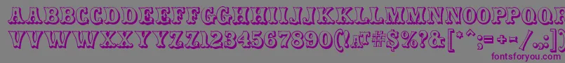 More about CarnivalmfOpenshadow Font CarnivalmfOpenshadow Font – Purple Fonts on Gray Background