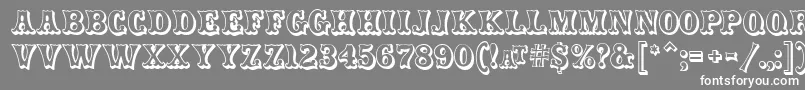 CarnivalmfOpenshadow Font – White Fonts on Gray Background