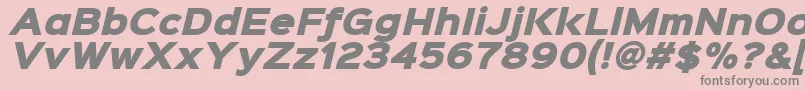 Weitere Informationen zur Sinkinsans900xblackitalic-Schriftart Sinkinsans900xblackitalic-Schriftart – Graue Schriften auf rosa Hintergrund