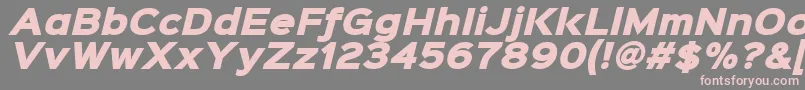 fuente Sinkinsans900xblackitalic – Fuentes Rosadas Sobre Fondo Gris