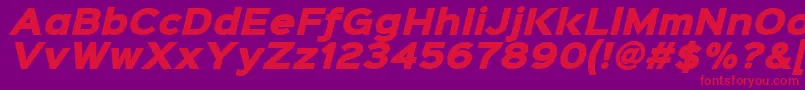 Шрифт Sinkinsans900xblackitalic – красные шрифты на фиолетовом фоне