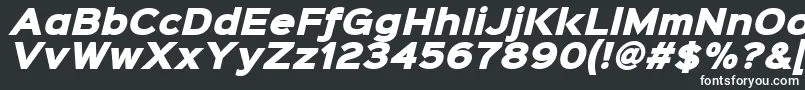 フォントSinkinsans900xblackitalic – 白い文字