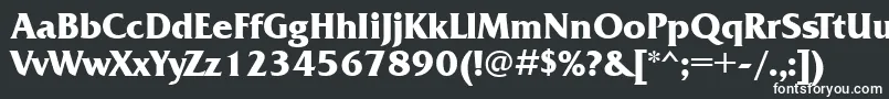 FrizquadrataattBold Font – White Fonts on Black Background