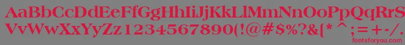 AmericanaExtraBoldBt-Schriftart – Rote Schriften auf grauem Hintergrund