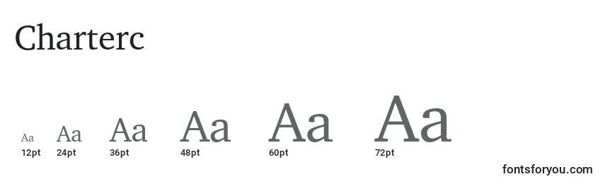 Charterc Font Sizes