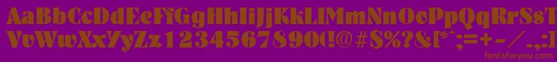 NashvilleHeavy Font – Brown Fonts on Purple Background