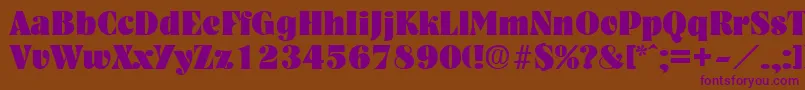 NashvilleHeavy Font – Purple Fonts on Brown Background