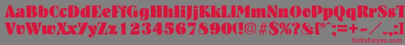 NashvilleHeavy Font – Red Fonts on Gray Background