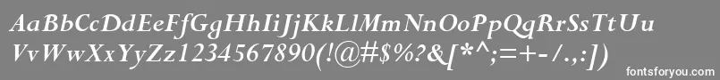 CompleatSsiBoldItalic Font – White Fonts on Gray Background