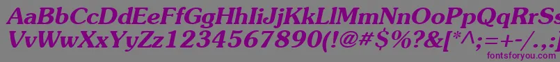 AgSouvenirBoldItalic Font – Purple Fonts on Gray Background