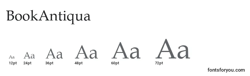 BookAntiqua Font Sizes