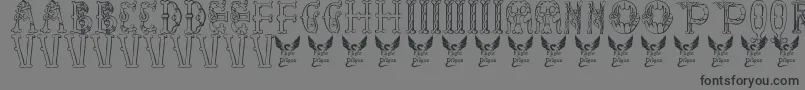 Libraryofminerva Font – Black Fonts on Gray Background