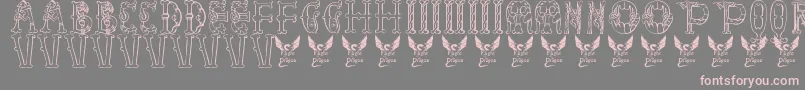 Libraryofminerva Font – Pink Fonts on Gray Background