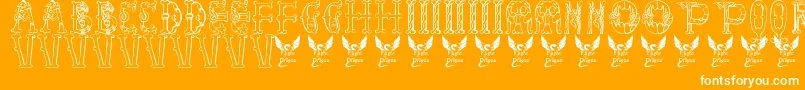 Libraryofminerva Font – White Fonts on Orange Background