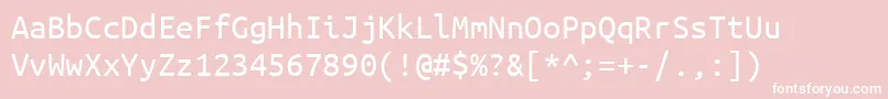 フォントUbuntumonoRegular – ピンクの背景に白い文字