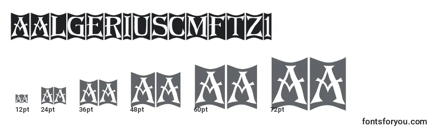 Размеры шрифта AAlgeriuscmftz1
