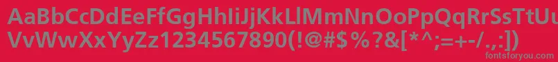 FrutigerCe65Bold Font – Gray Fonts on Red Background