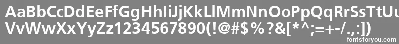 FrutigerCe65Bold Font – White Fonts on Gray Background