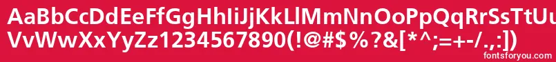 フォントFrutigerCe65Bold – 赤い背景に白い文字