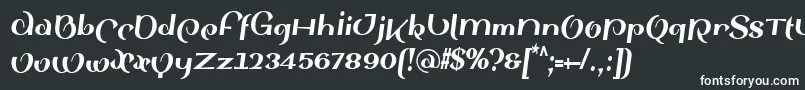 フォントSinahsansLtBlackCondensedItalic – 白い文字