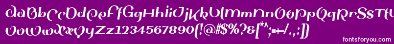 SinahsansLtBlackCondensedItalic Font – White Fonts on Purple Background