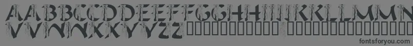 LmsIHopeYouDance Font – Black Fonts on Gray Background