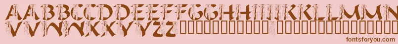 LmsIHopeYouDance Font – Brown Fonts on Pink Background