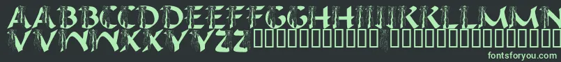 Шрифт LmsIHopeYouDance – зелёные шрифты на чёрном фоне