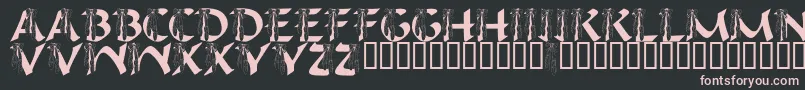 フォントLmsIHopeYouDance – 黒い背景にピンクのフォント