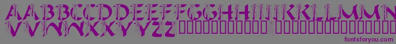 LmsIHopeYouDance-fontti – violetit fontit harmaalla taustalla