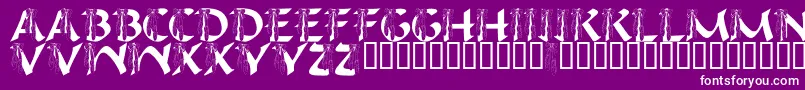 LmsIHopeYouDance Font – White Fonts on Purple Background