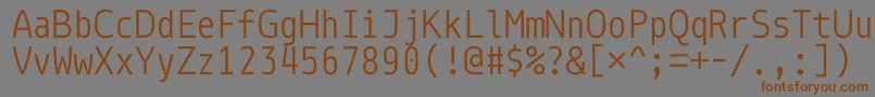 フォントMonoidA0A1A3AlAdAa – 茶色の文字が灰色の背景にあります。