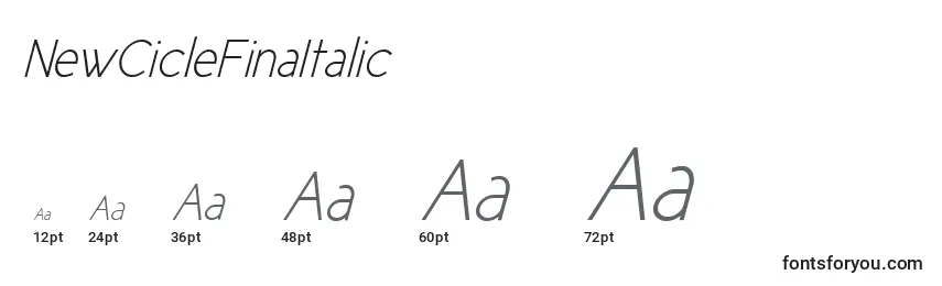 Размеры шрифта NewCicleFinaItalic