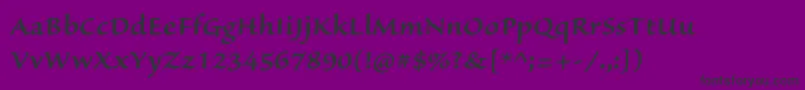 SanvitoproSemiboldcapt Font – Black Fonts on Purple Background