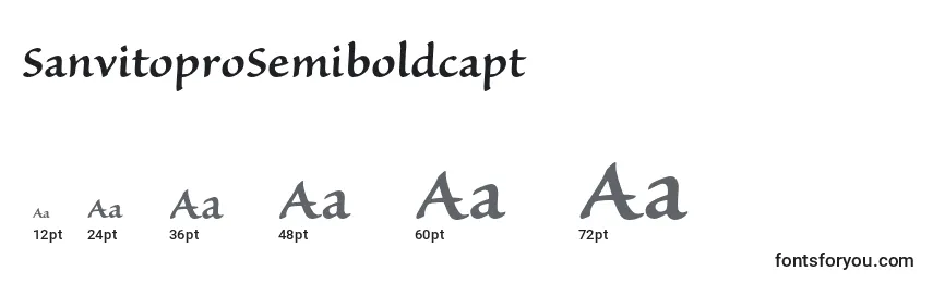 Размеры шрифта SanvitoproSemiboldcapt