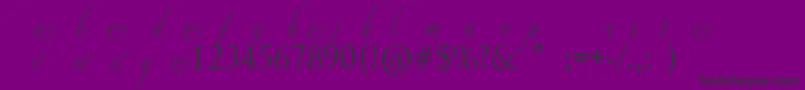 AdiosScriptAltsI Font – Black Fonts on Purple Background