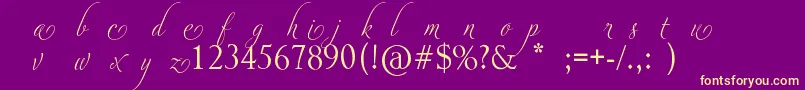 AdiosScriptAltsI-Schriftart – Gelbe Schriften auf violettem Hintergrund