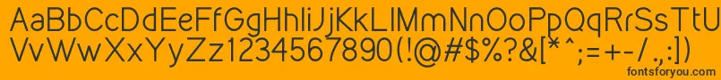 KirvyRegular Font – Black Fonts on Orange Background