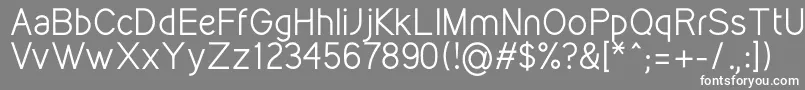 KirvyRegular Font – White Fonts on Gray Background
