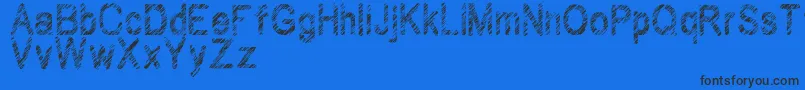 Wilhomena-Schriftart – Schwarze Schriften auf blauem Hintergrund