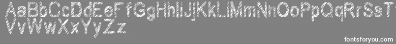 Czcionka Wilhomena – białe czcionki na szarym tle