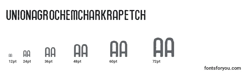 Размеры шрифта UnionAgrochemCharkrapetch