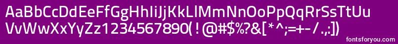 Titilliumtext22l600wt Font – White Fonts on Purple Background