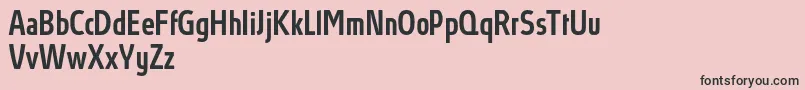 AbsolutProMediumcondensed Font – Black Fonts on Pink Background