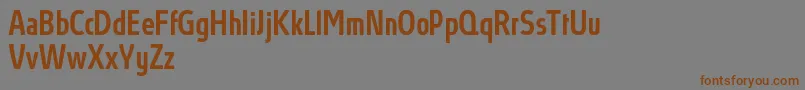 Шрифт AbsolutProMediumcondensed – коричневые шрифты на сером фоне