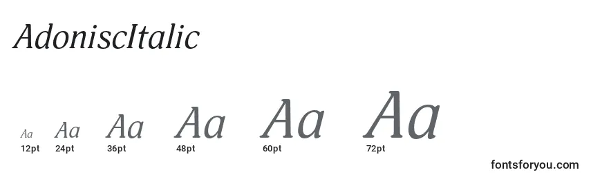 Размеры шрифта AdoniscItalic
