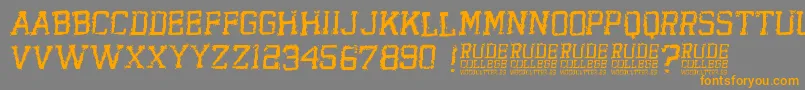 RudeCollege Font – Orange Fonts on Gray Background