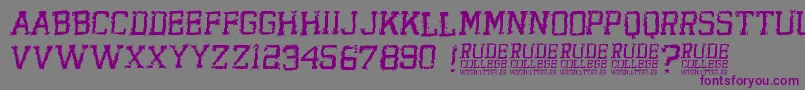 RudeCollege-fontti – violetit fontit harmaalla taustalla