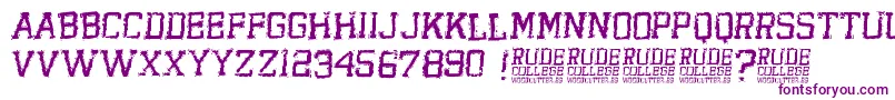 RudeCollege Font – Purple Fonts on White Background